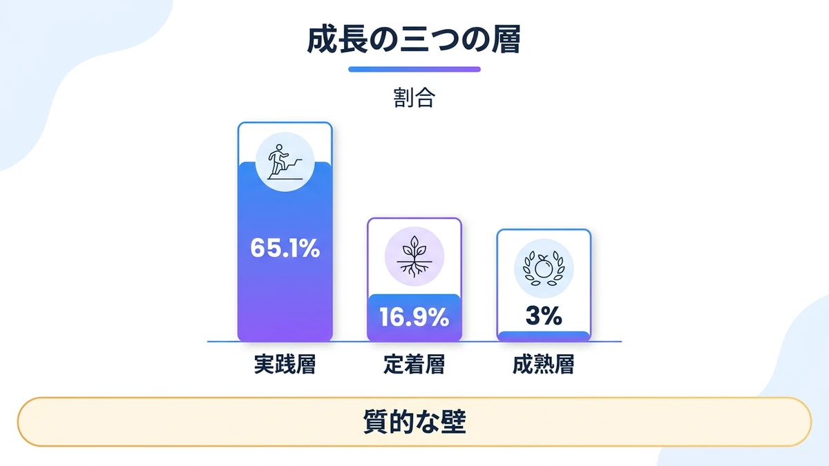 成長の三つの層。実践層、定着層、成熟層